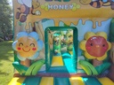 Bijen - springen in de bijenkorf
