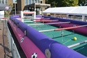 Levende Kicker